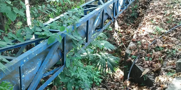 Concesión Ruta del Cacao Betulia