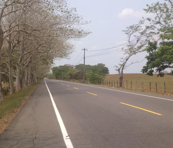 APP Antioquia Bolívar