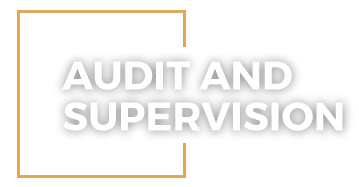 Audit and supervision Audit and supervision
